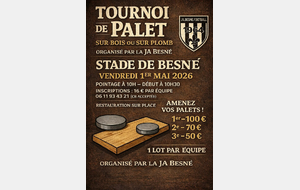 Tournoi de Palets